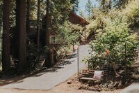 Building Photo - Sunlit Sanctuary in the Redwoods