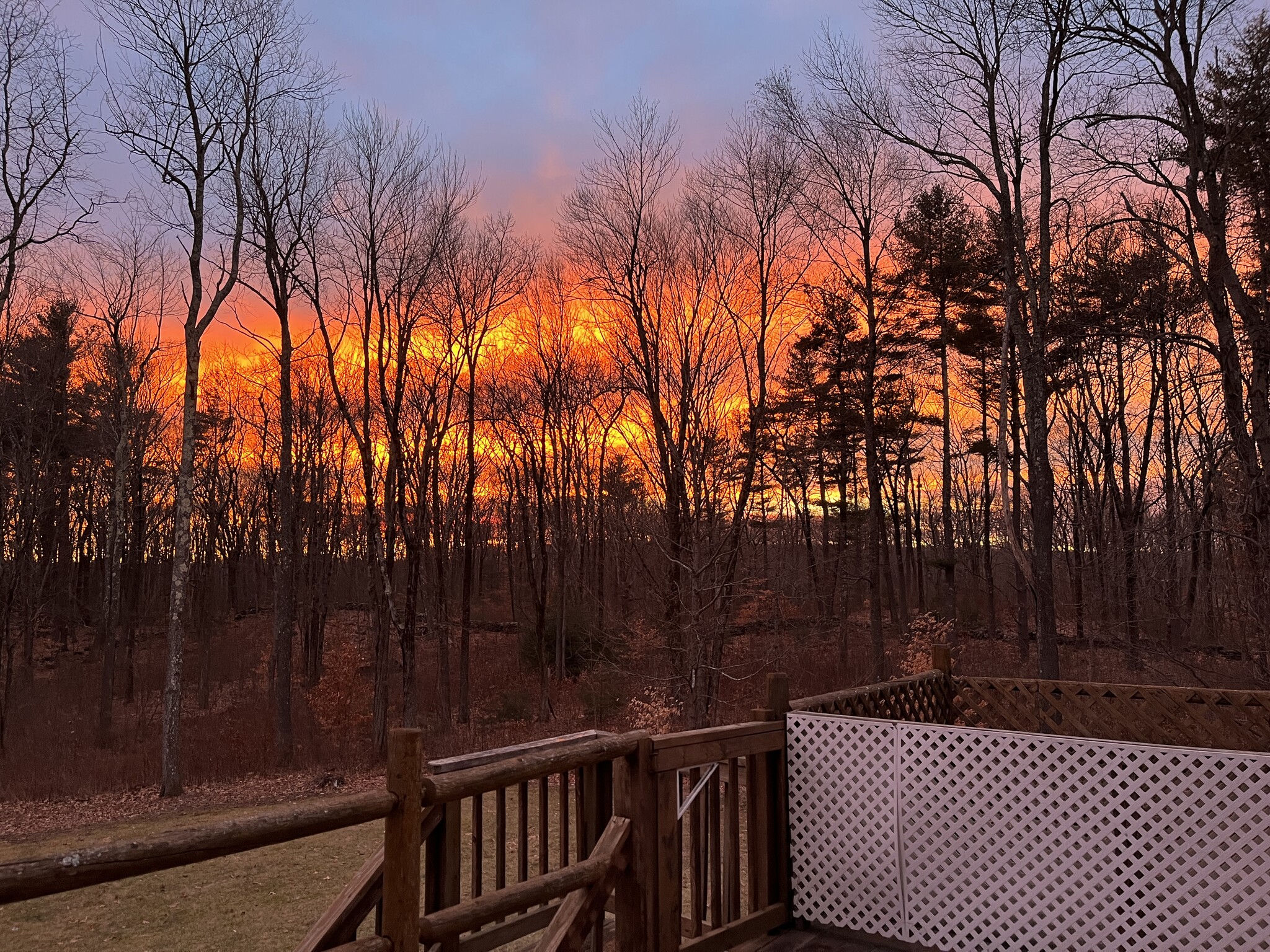 Back yard view - 137 Marshall St