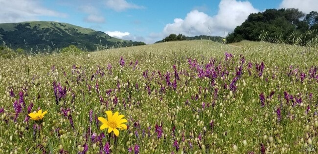 Building Photo - 700 Tamarack Dr