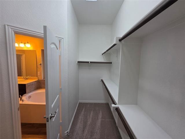 Building Photo - 2021 Milano Ln