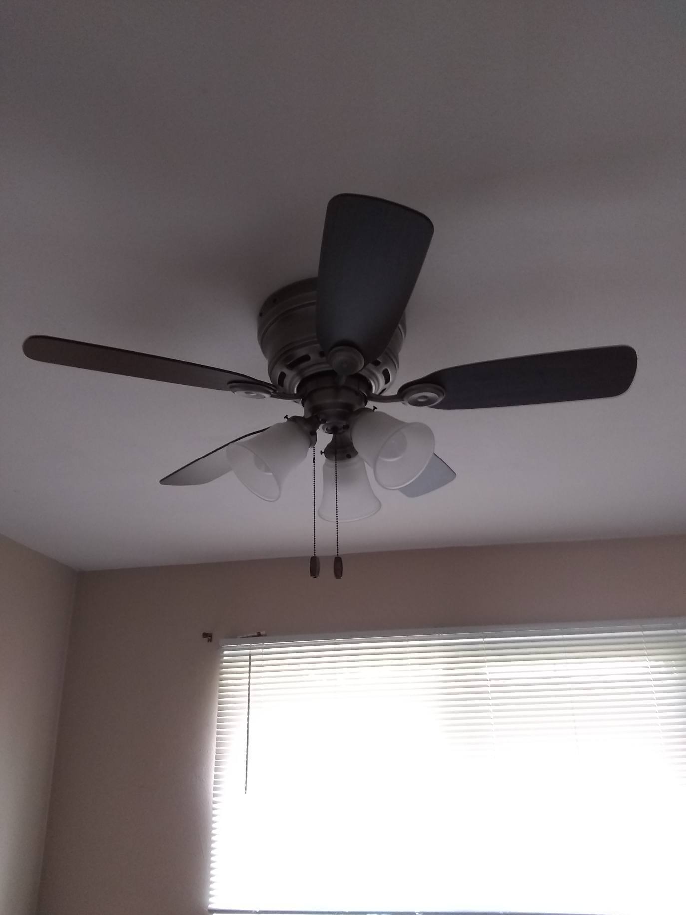 Building Photo - 113 E Poos Dr