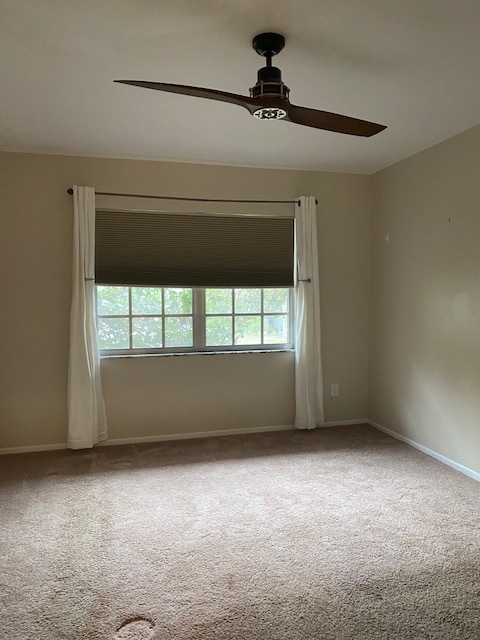 Building Photo - 1/1 walkable to downtown! $1,300 plus $50 ...