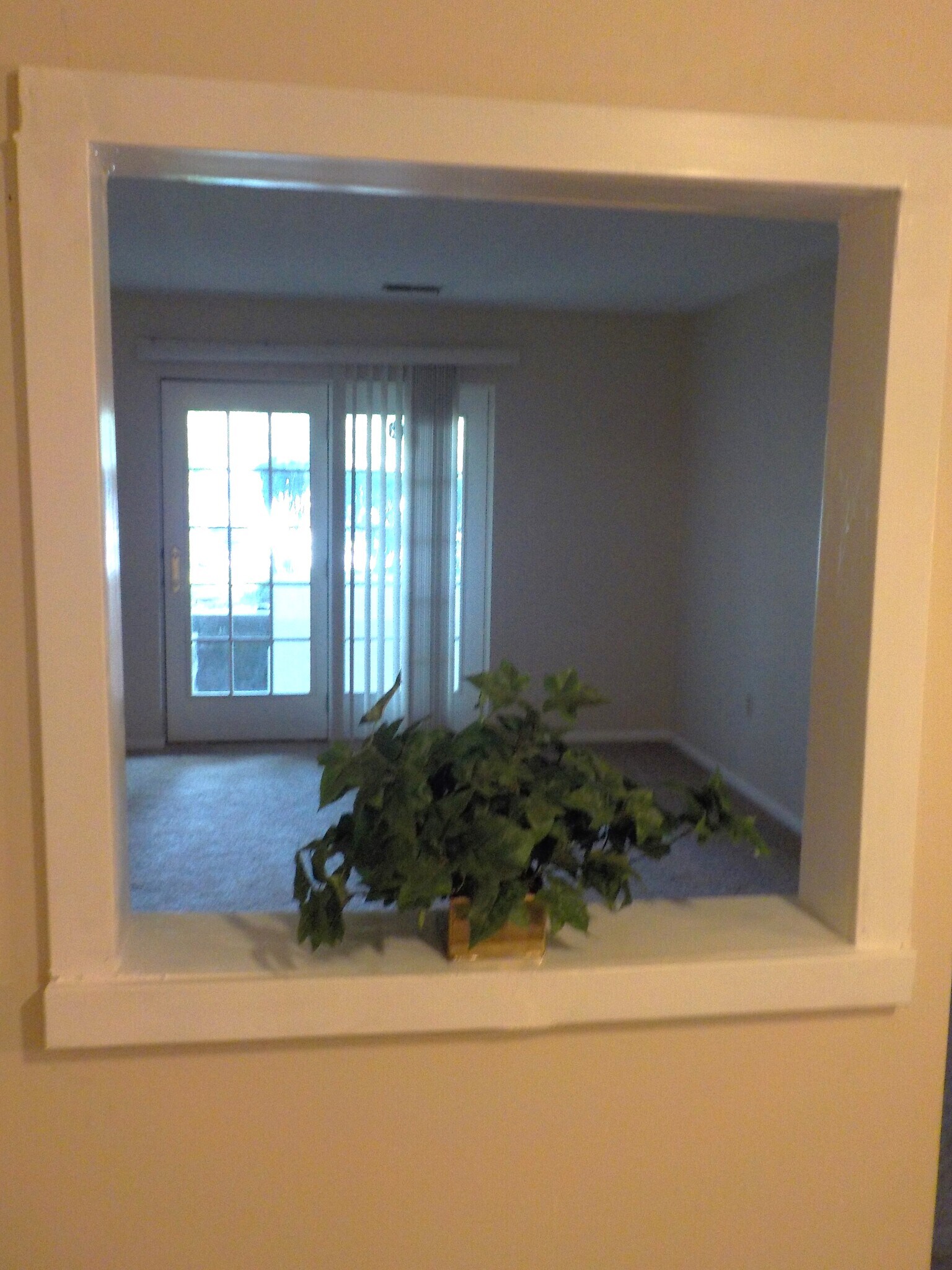 View to livingroom - 2109 Cedar Run Dr