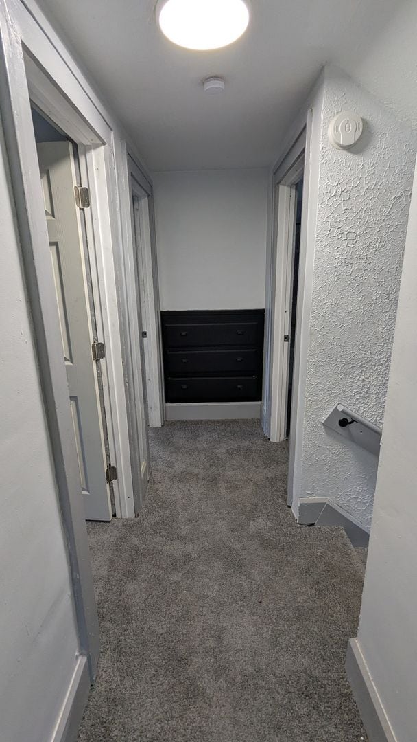 Building Photo - Welcome to this newly renovated gem locate...