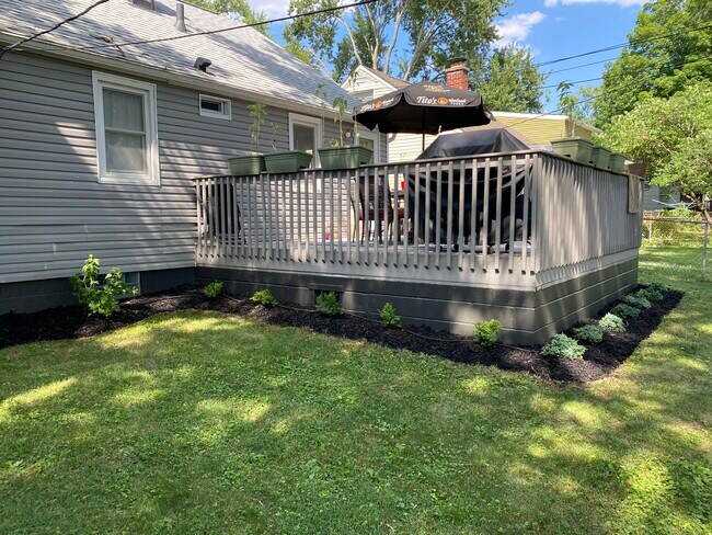 Backyard - 175 Rosslyn Ave
