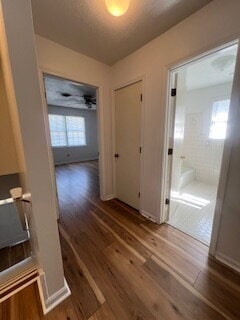 Building Photo - Now Available!