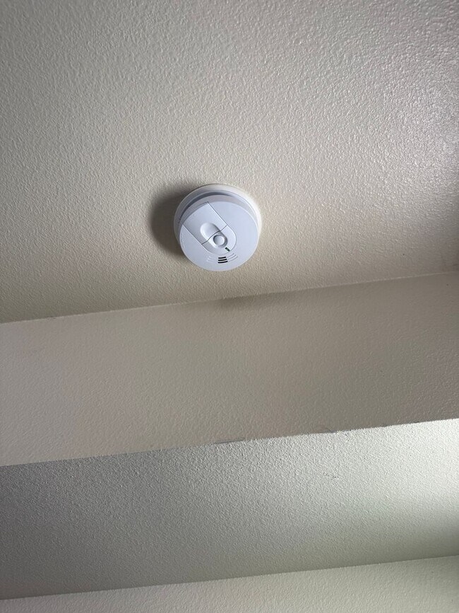 Building Photo - All Bed& Bath at 1st 2CAR Assigned Parking Space at back with access alley,tile &laminate floorin...