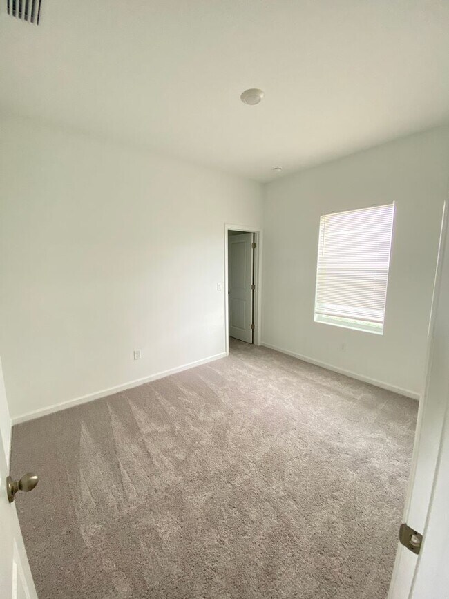 Building Photo - 35606 Buttonweed Trl
