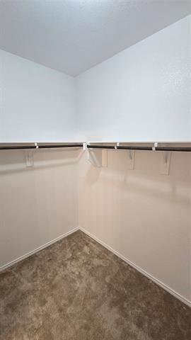 Building Photo - 1301 Lackley Dr