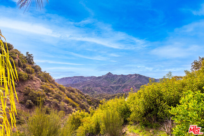 Building Photo - 2529 Topanga Skyline Dr