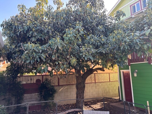 Building Photo - 2 Bed/2 Bath Oceanside Charmer!