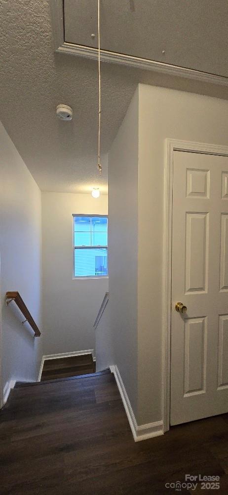 Building Photo - 1732 Carmenet Ln