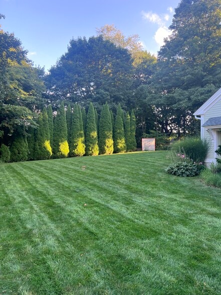 Gorgeous large backyard - 256 Main St