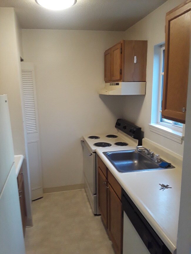 Birch Hill Apartments Ashford, CT Apartment Finder