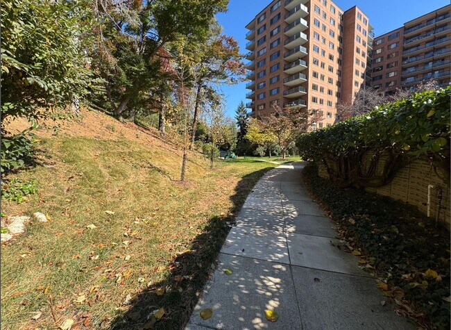 Building Photo - Lovely 1 BR/1 BA Condo in Wesley Heights!