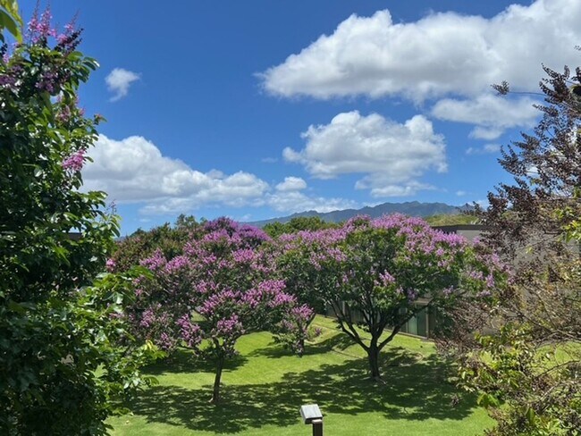 Building Photo - 2br/1ba/1pkg Apartment in Hokuahi Apartmen...