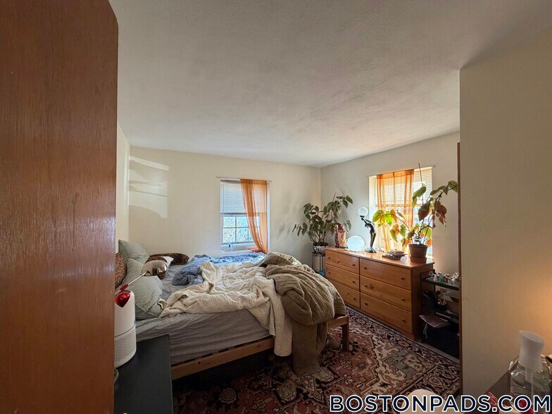 Building Photo - 8 Brattle Dr