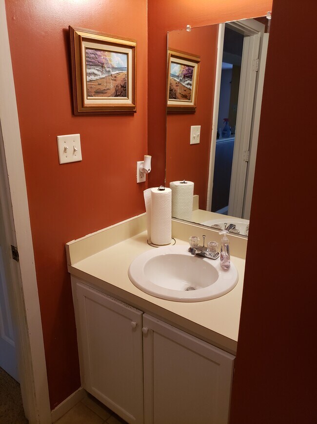 Downstairs Bathroom - 536 Lanier Crescent