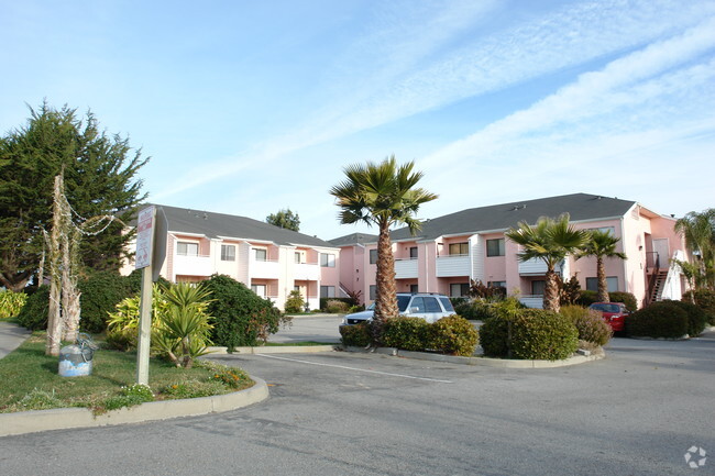 Primary Photo - Marina Beach Apartments