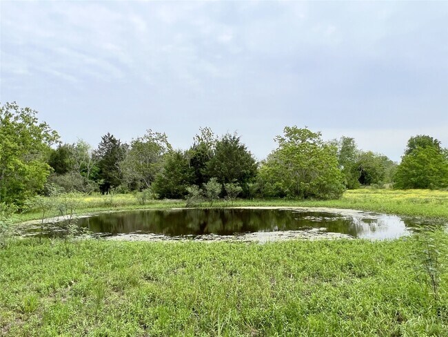 Building Photo - 10125 Needville Fairchilds Rd