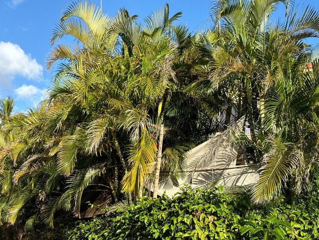 Building Photo - Kihei Villas 1bd/1bth