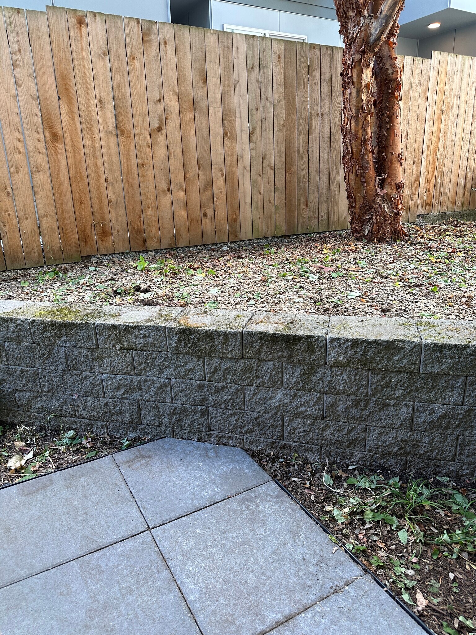 Back Patio - 3631 1st Ave NW