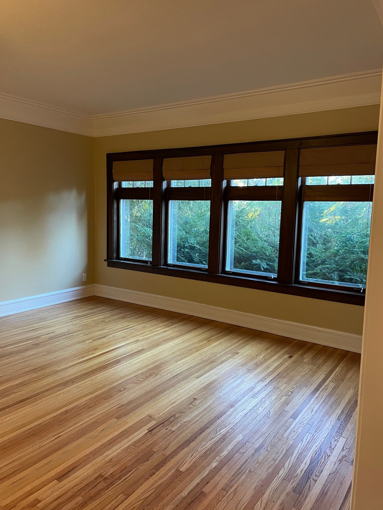 north end of 2nd living room - 2523 LeClaire St