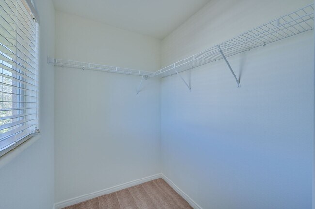 Building Photo - SW!! Southern Highlands!!! 4 Bedrooms!!!  ...