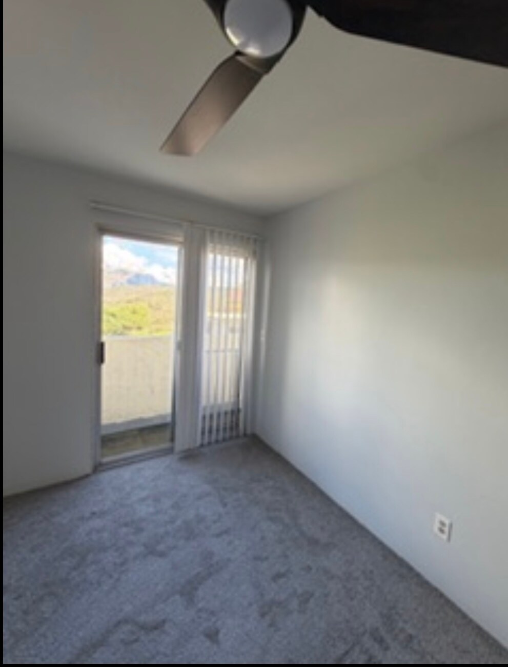 Building Photo - 9507 Petite Ln