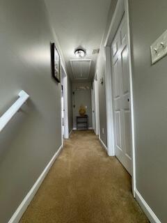 Building Photo - 217 Sarah Creek Ct