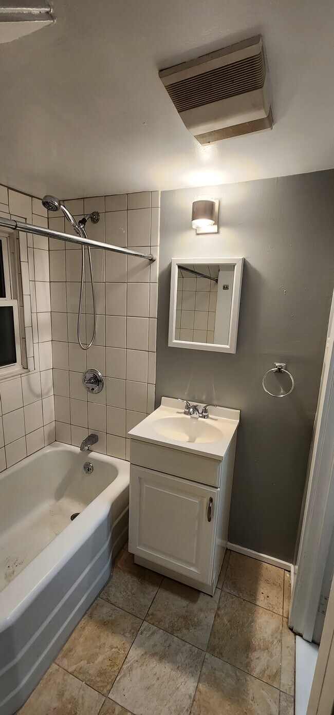 Bathroom - 295 S Allen St