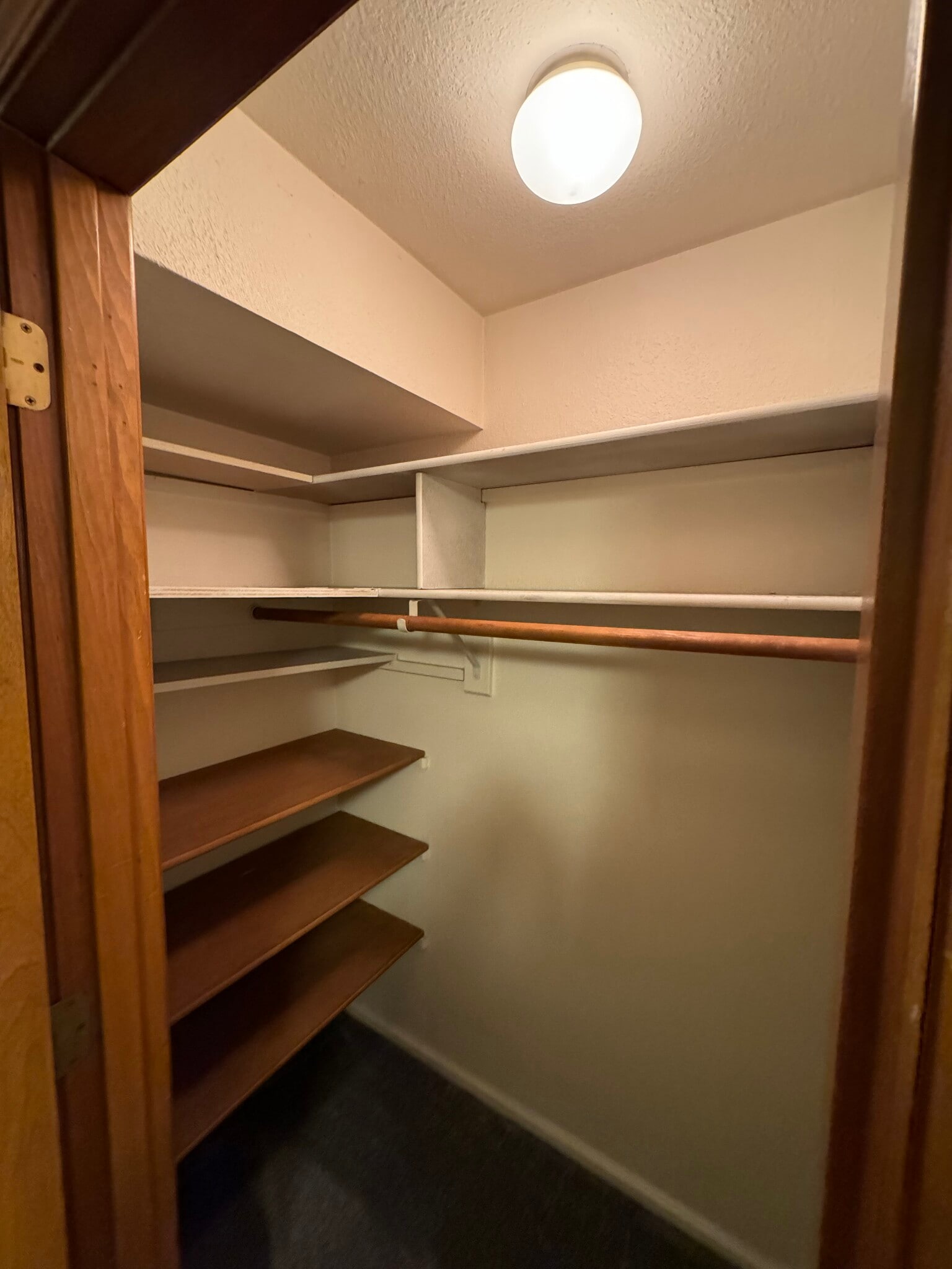 Bedroom 2 - Walk-in Closet - 1293 City View St