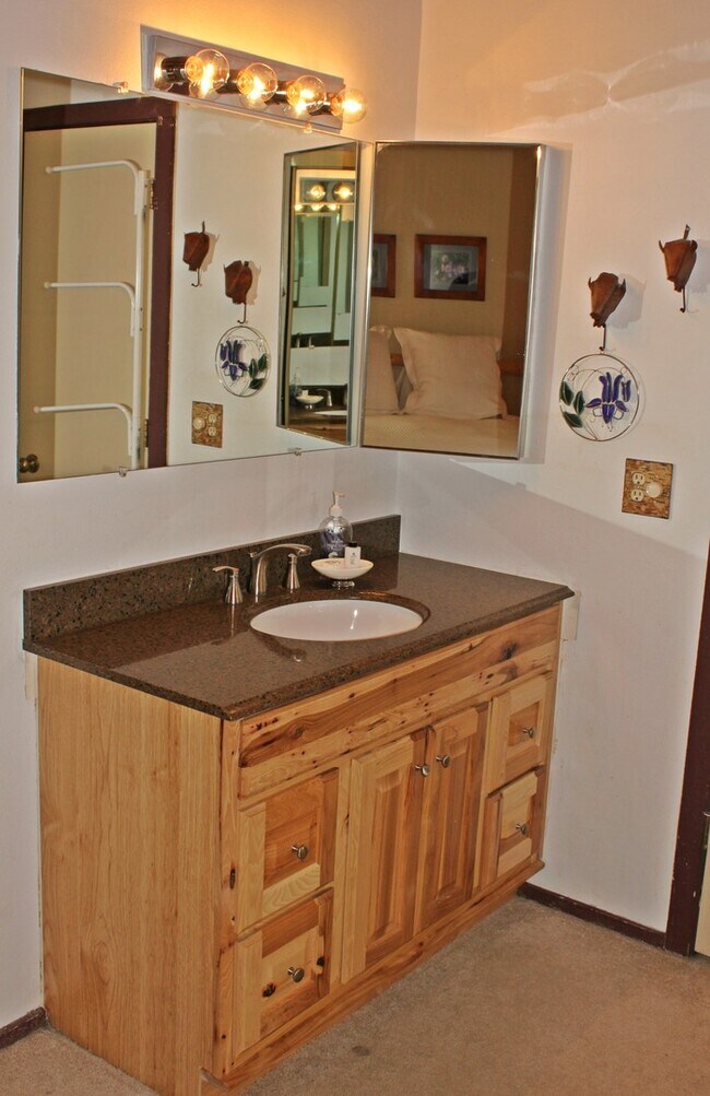 Building Photo - 4200 Lodgepole Cir