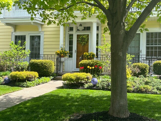Primary Photo - 21 Colvin Ave