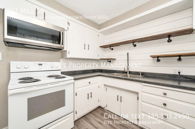 Building Photo - 207 Mill St