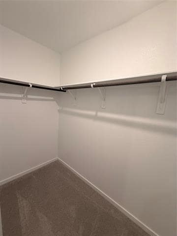 Building Photo - 4171 Silverstein St