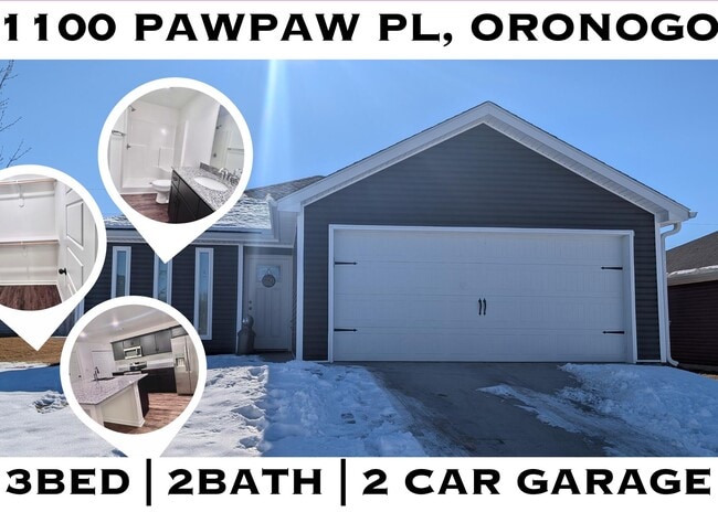 Building Photo - 1100 Pawpaw Pl