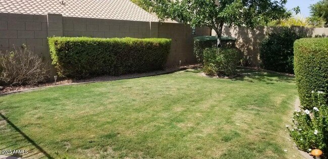 Building Photo - 9113 E Palm Tree Dr