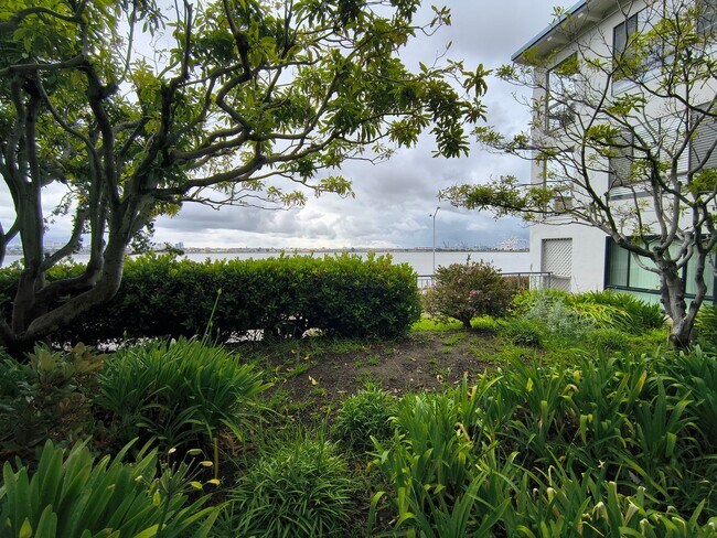 Building Photo - BEAUTIFUL STUDIO AVAILABLE AT WATERGATE COMMUNITY IN EMERYVILLE!!!