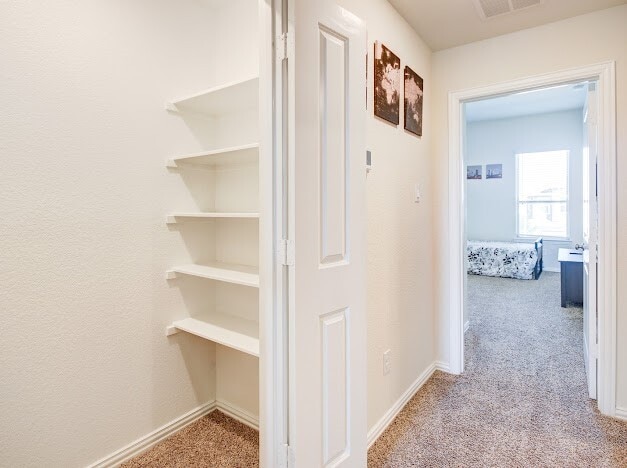 Building Photo - 1646 Ryon Falls Dr