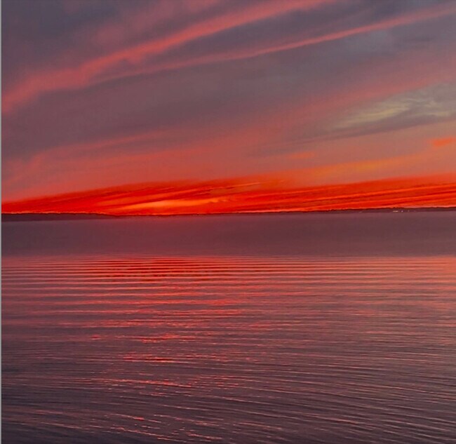 Building Photo - 21 Rawson Rd