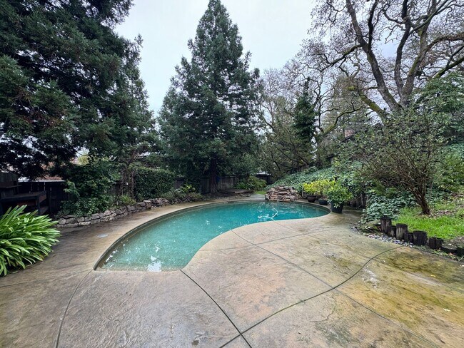 Building Photo - Gorgeous Single Level Home with Pool in Al...