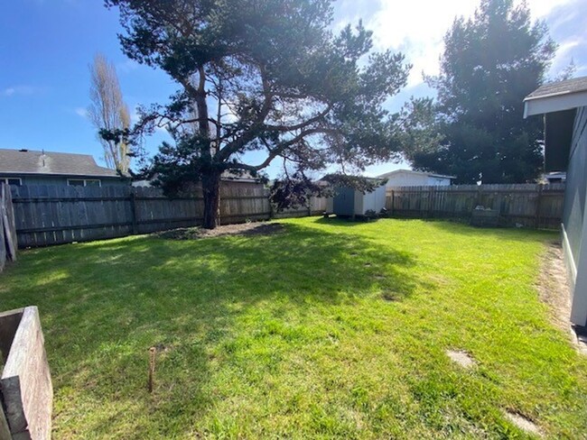 Building Photo - ARCATA! FULLY REMODELED 3 bedroom / 1.5 ba...