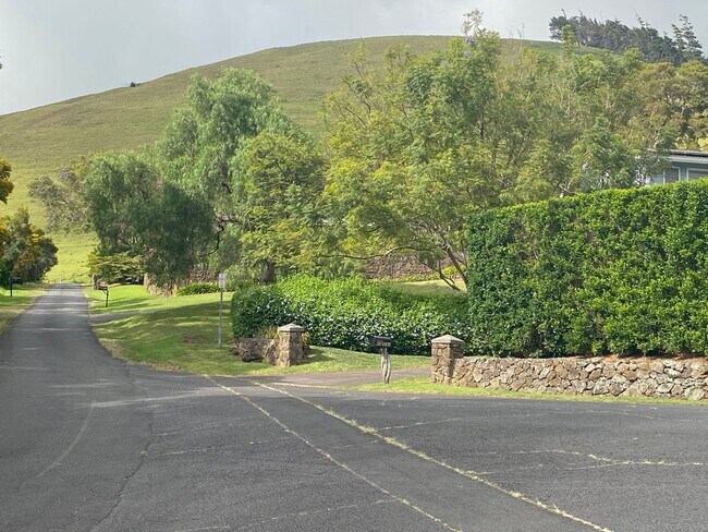 Building Photo - Kamuela Heights