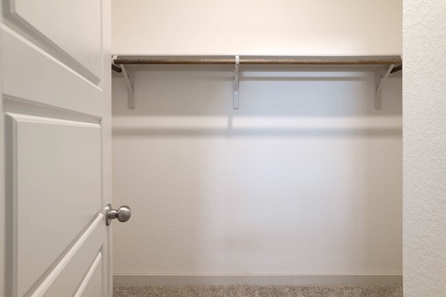 Building Photo - 14020 Sage Blossom Dr