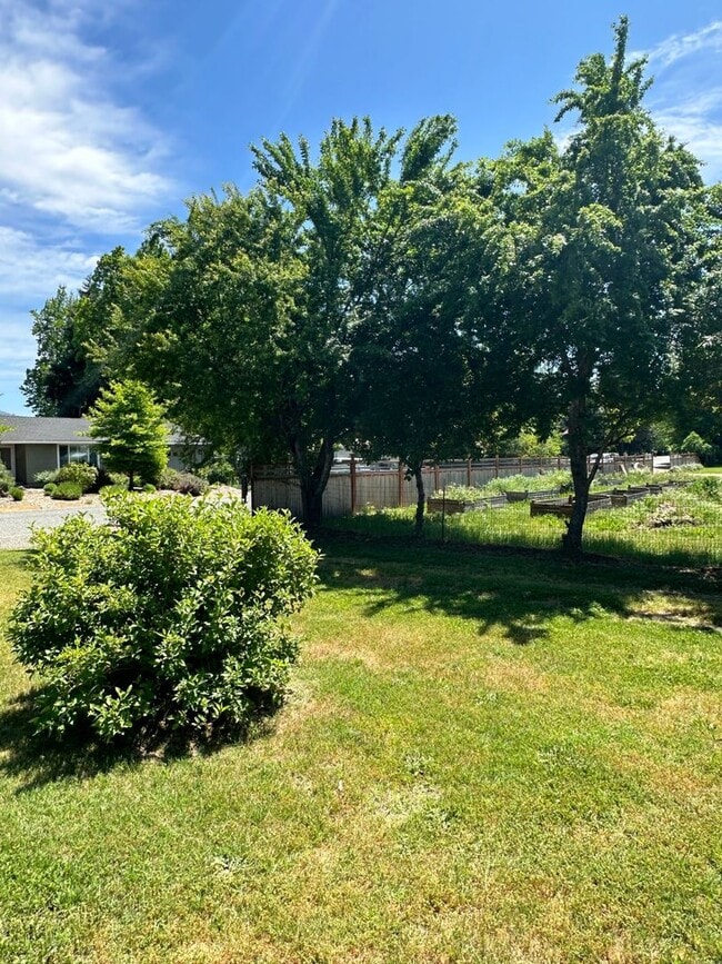 Building Photo - 3BED 1.5BATH - BONUS ROOM, LARGE YARD, WASHER/DRYER HOOKUP, DRIVEWAY PARKING