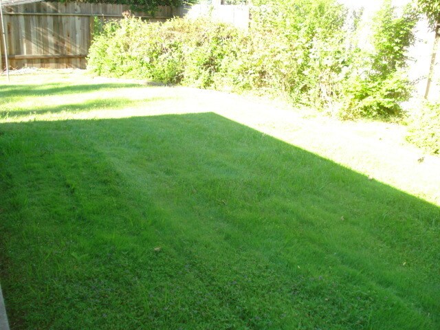 Building Photo - SINGLE STORY, 4 BED, 2 BA, LARGE LOT, ARDEN ARCADE AREA