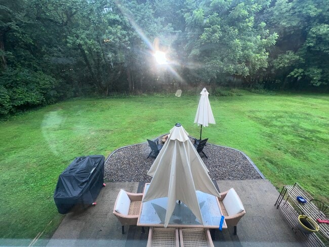 Wooded private yard - 18 Tennyson Rd