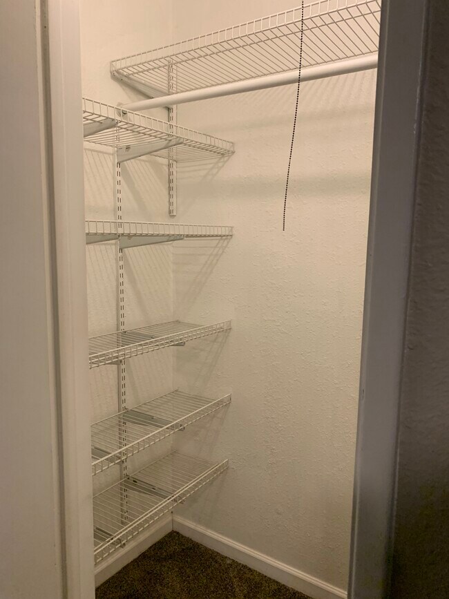 Bedroom 3 WIC - 264 E Betty Elyse Ln