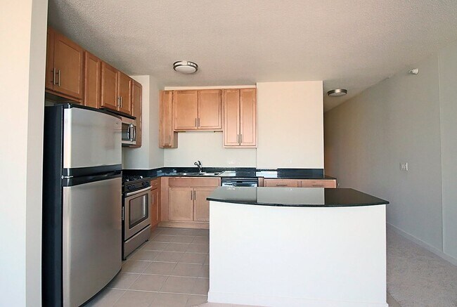 Building Photo - 539 W Kinzie St